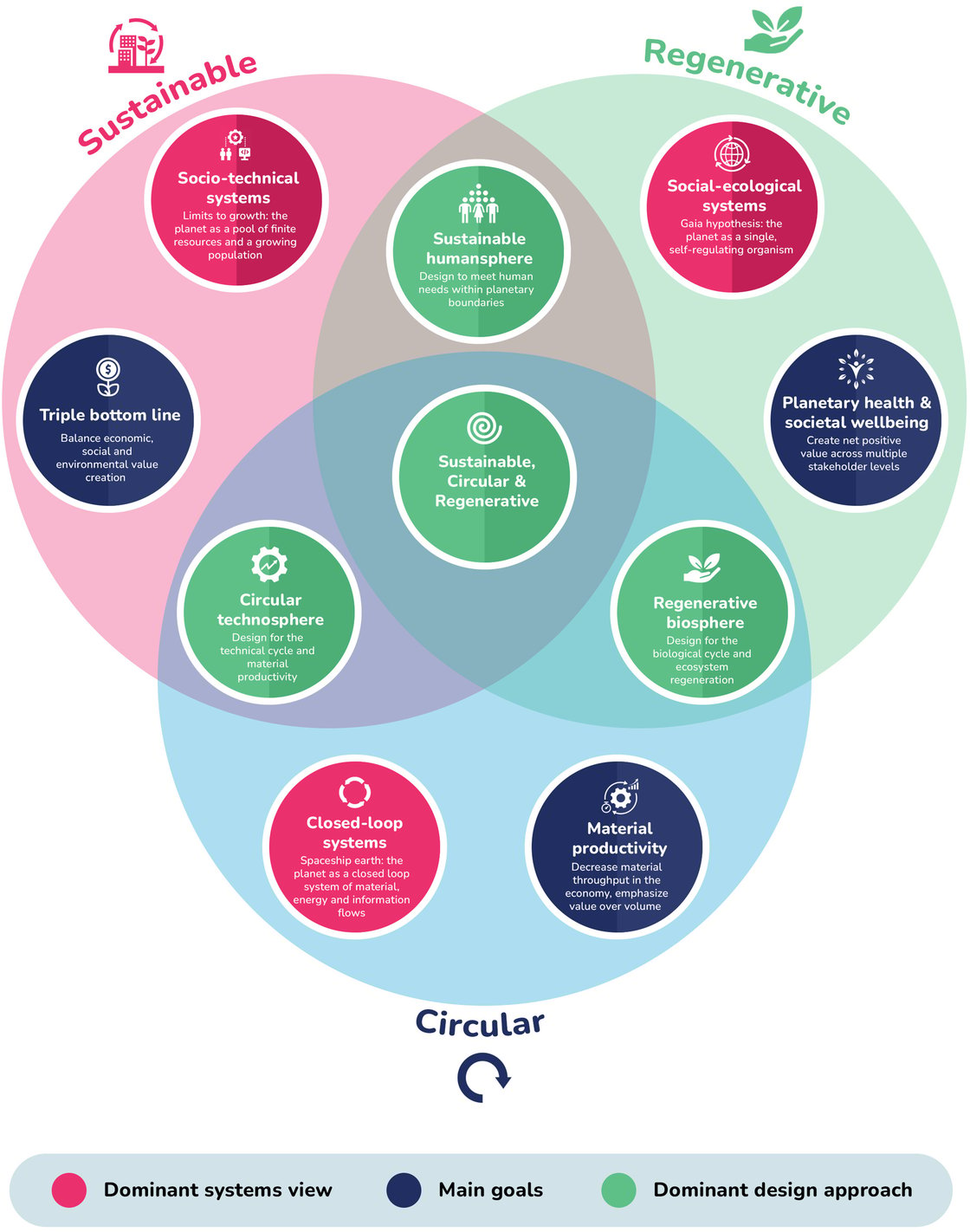 regenerative business vs sustainable and circular businesses