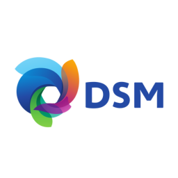 DSM