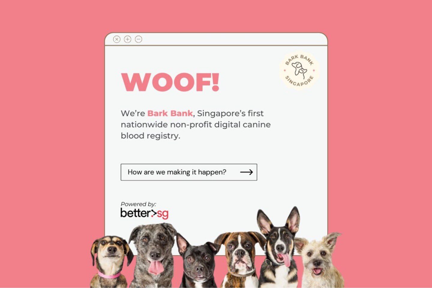 An online promo for Bark Bank that starts with the exclamation 'Woof!'