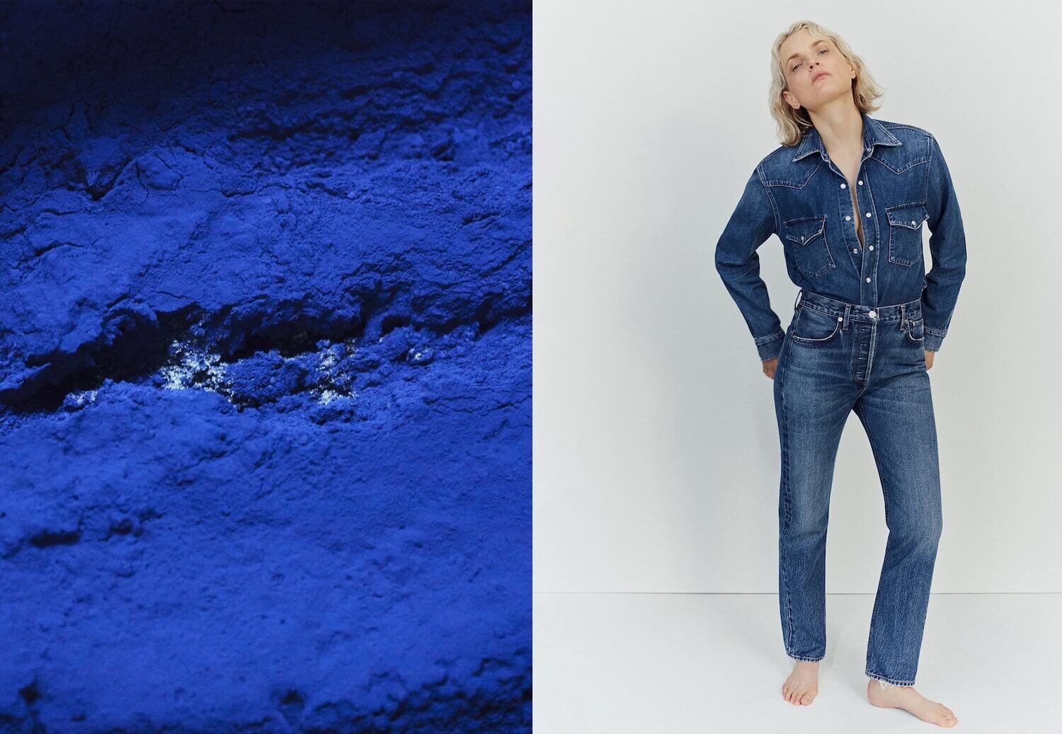 On the left: indigo-colored, powdered dye. On the right: a model wearing jeans and a denim shirt. 