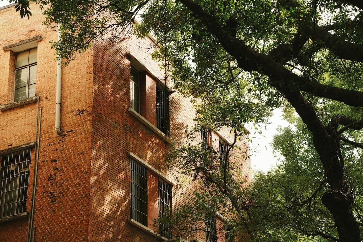 Multistory brick residential building shaded by a large tree 