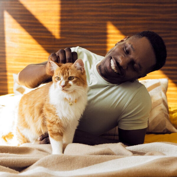 Man lying on a bed, smiling and scratching a cat's head 