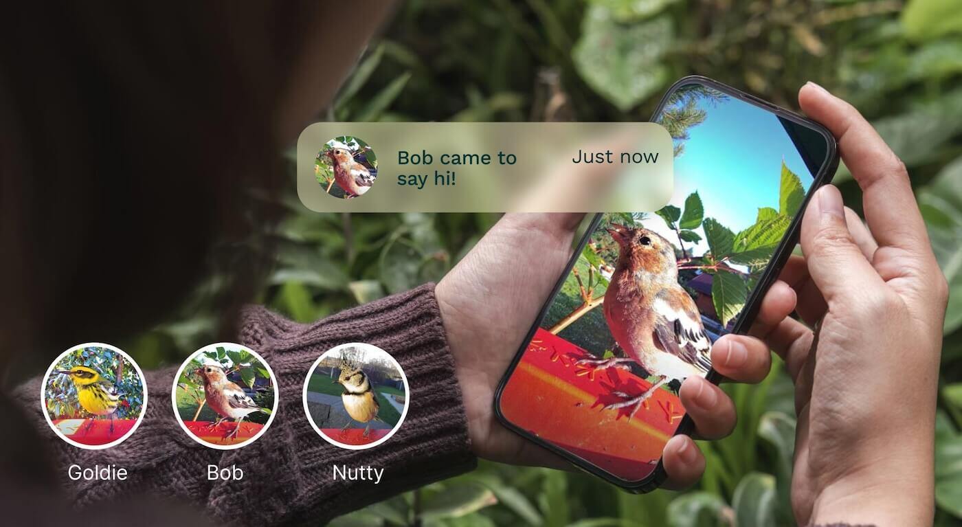  Bird shown on a phone, which identifies it as Bob 