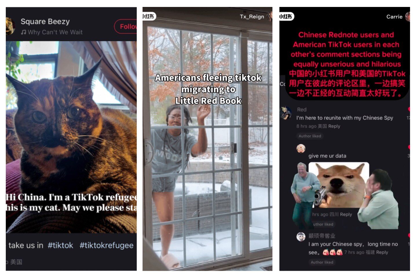 Xiao Hong Shu (Red Note) screenshots playing with the notion of TikTok refugees 