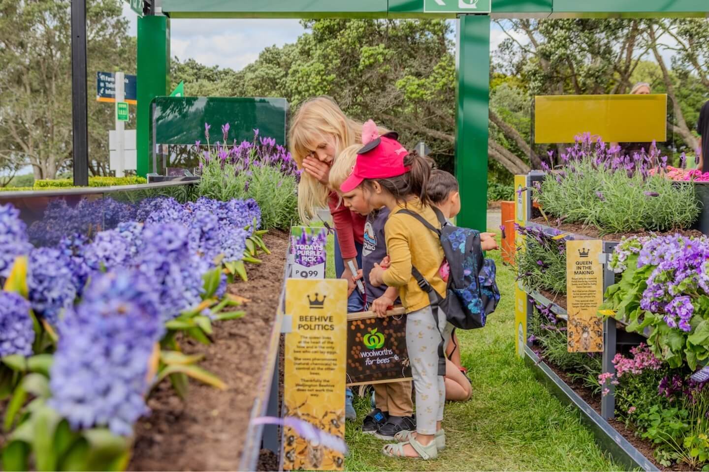 Children examining flowers and insects at Woolworths' supermarket for bees